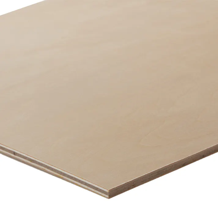 シナカットベニヤ 長さ600mm 幅300mm 厚さ5.5mm