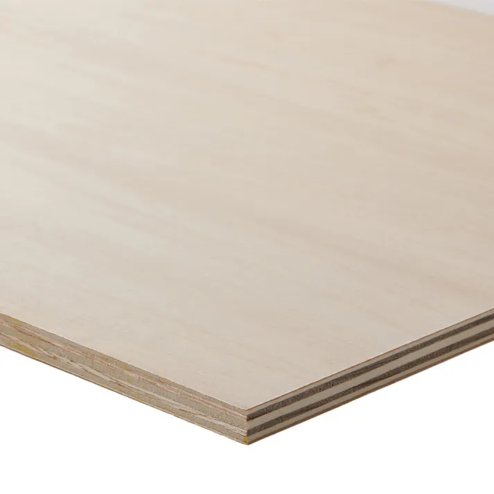 シナカットベニヤ 長さ600mm 幅300mm 厚さ9.0mm