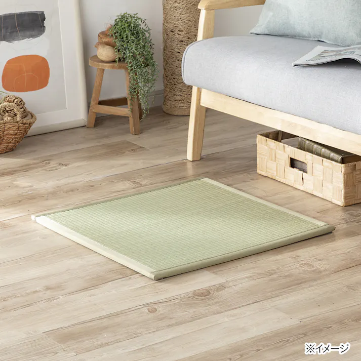 抗菌・防臭システム畳 58×58cm