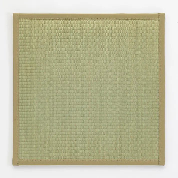 抗菌・防臭システム畳 58×58cm