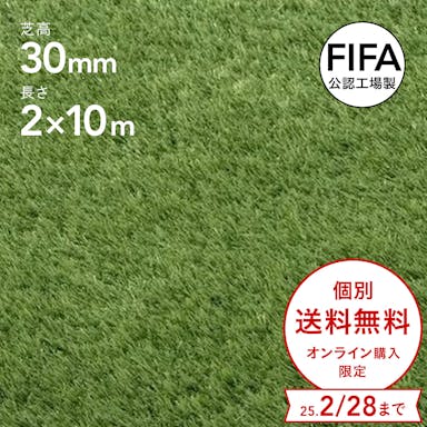 【期間限定 個別送料無料】カインズ 防草リアル人工芝 30mm 2m×10m【SU】