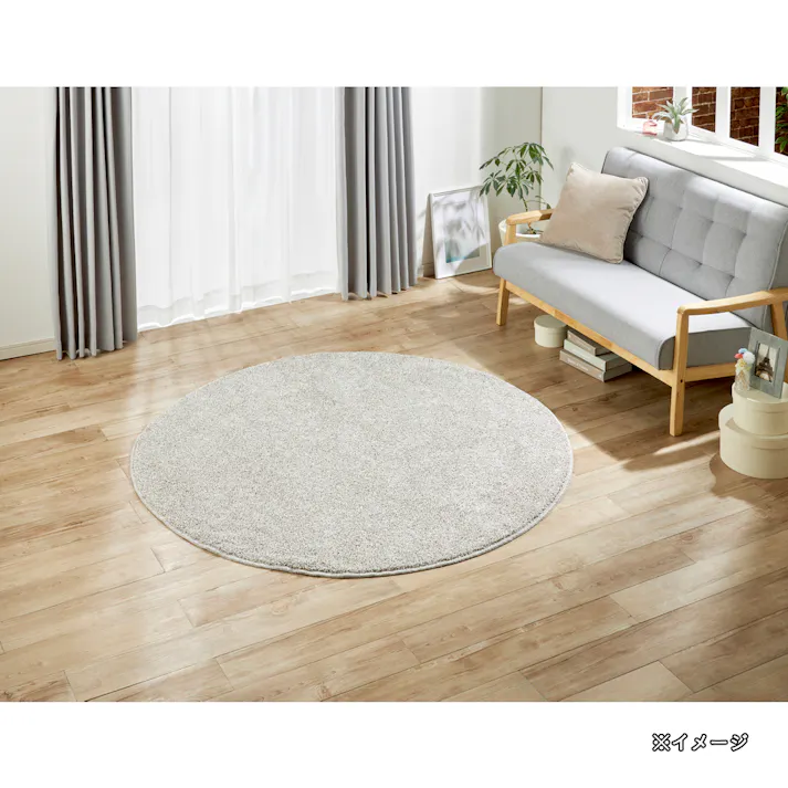 シャギータフトラグ シルバー 160R
