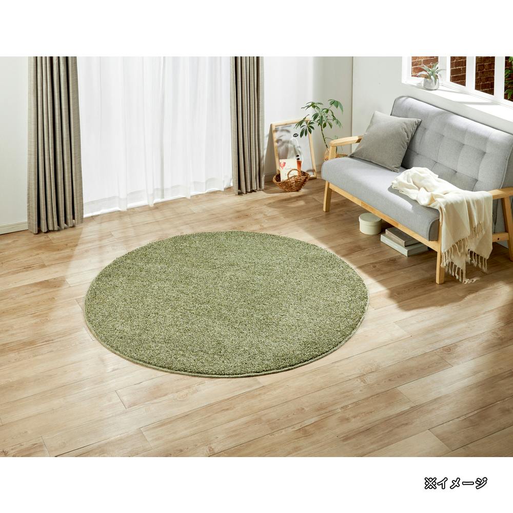 アクタス ラグ グリーン 約96cm x 160cm 4549509934776_02.jpg