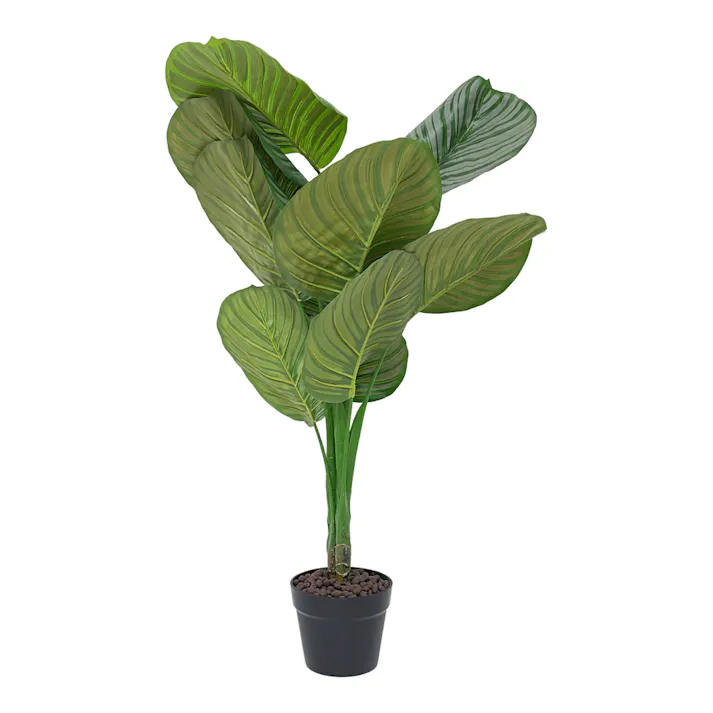 人工観葉 カラテア 90cm