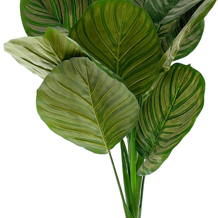 人工観葉 カラテア 90cm