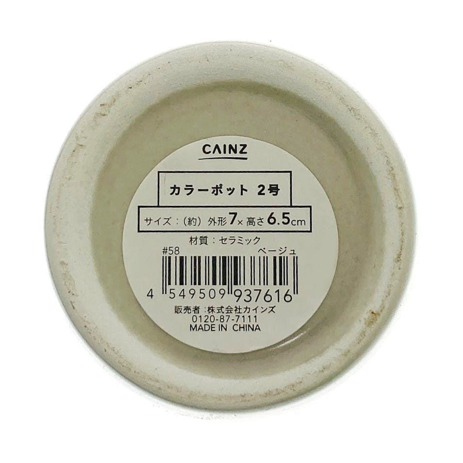 ２点の鉢 7号鉢(21cm) – KUROKO
