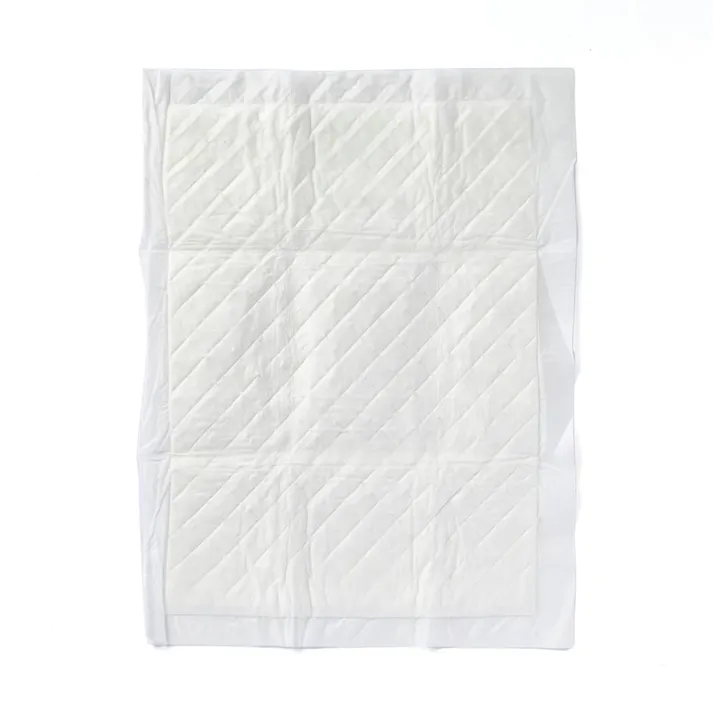 カインズ 超吸収厚型ペットシーツ お試し レギュラー 4枚 犬用 小型犬約3~4回分おしっこ吸収 2層の吸収材ですばやく吸収