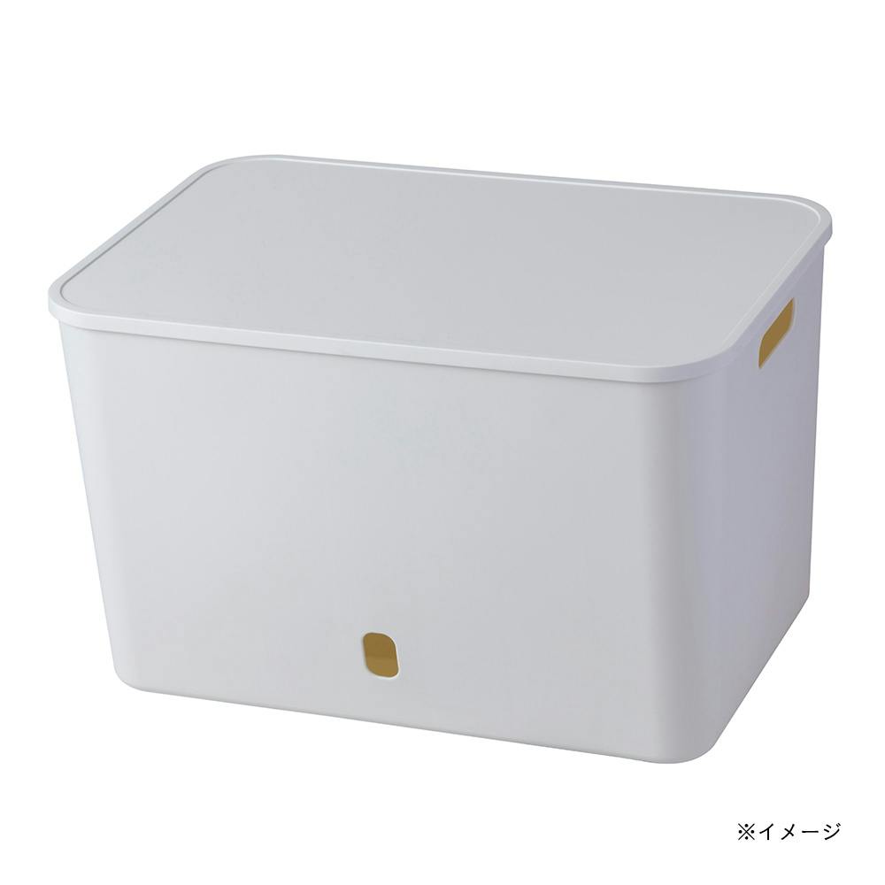 白樺ボックス ケース 楽天市場】かご バスケット 収納 白樺風 28×15cm 浅型タイプ