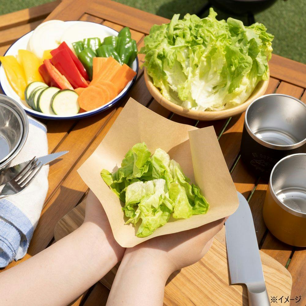 希少！ベッティナ・ランス オフセット印刷 シート7枚 デジタル印刷レジャーシート | 萩原工業 合成樹脂 製品ポータルサイト