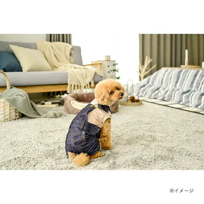 【送料無料】デニム風オーバーオール Sサイズ ペット服(犬の服)(販売終了)