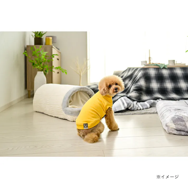【送料無料】ルームスウェット イエロー 4Lサイズ ペット服(犬の服)