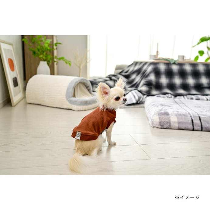 【送料無料】ルームスウェット ブラウン SDサイズ ペット服(犬の服)(販売終了)