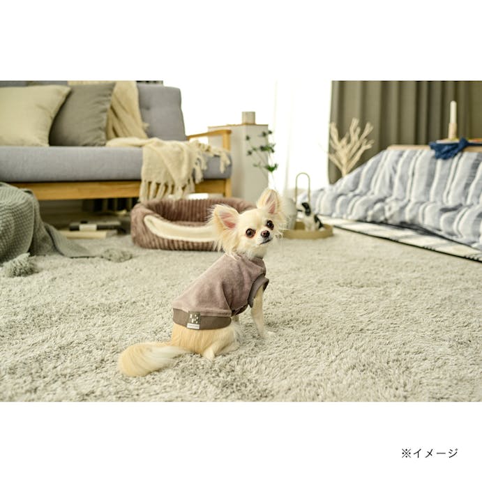 【送料無料】コードルームウェア アッシュグレー Lサイズ ペット服(犬の服)(販売終了)