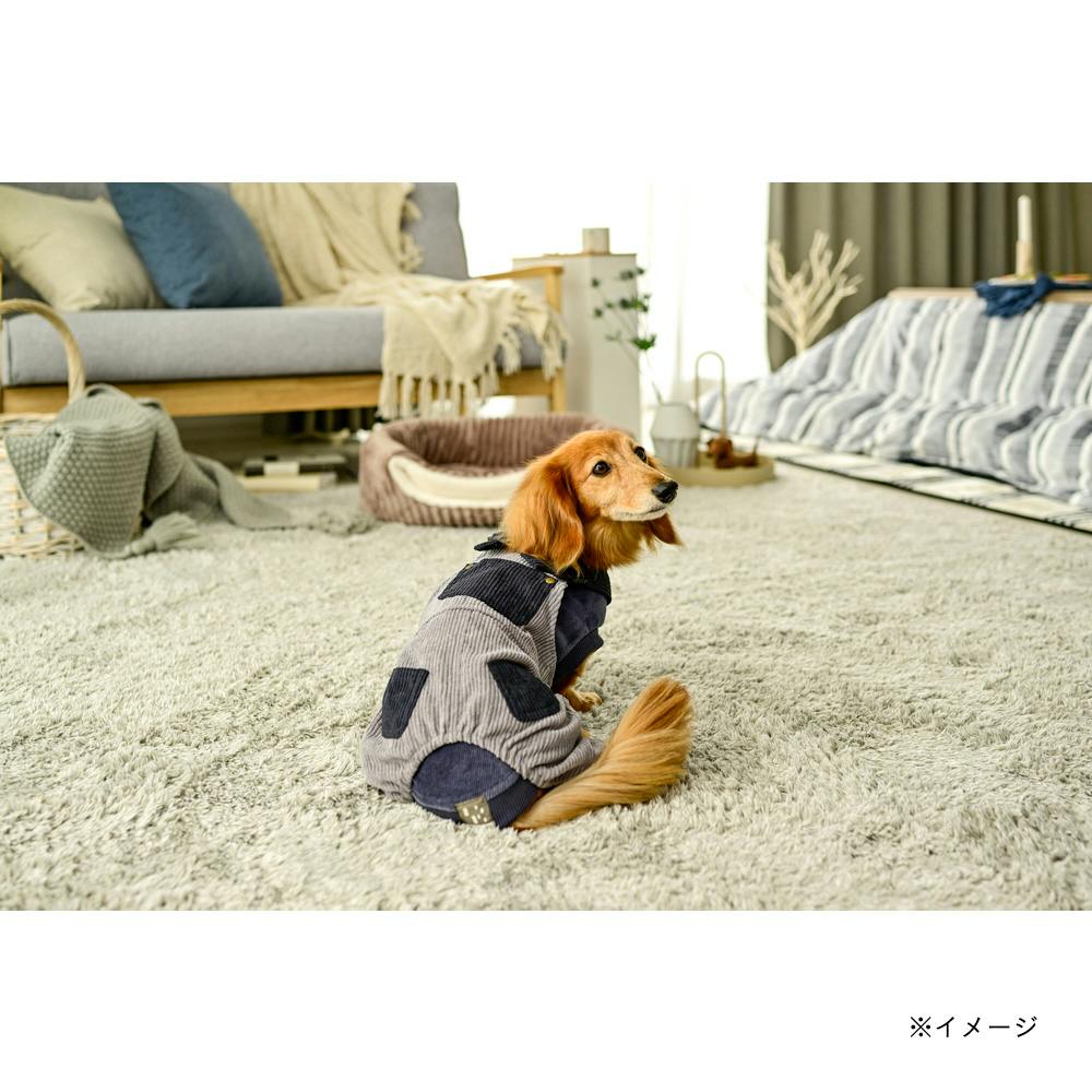 【ペット用】大型犬用ペット服コーデュロイのオーバーオール　アイボリーXLサイズ
