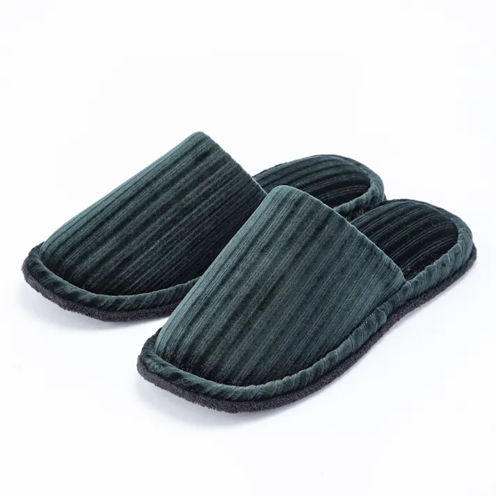 履いて歩くだけで掃除もできる スリッパ ライングリーン L(販売終了)