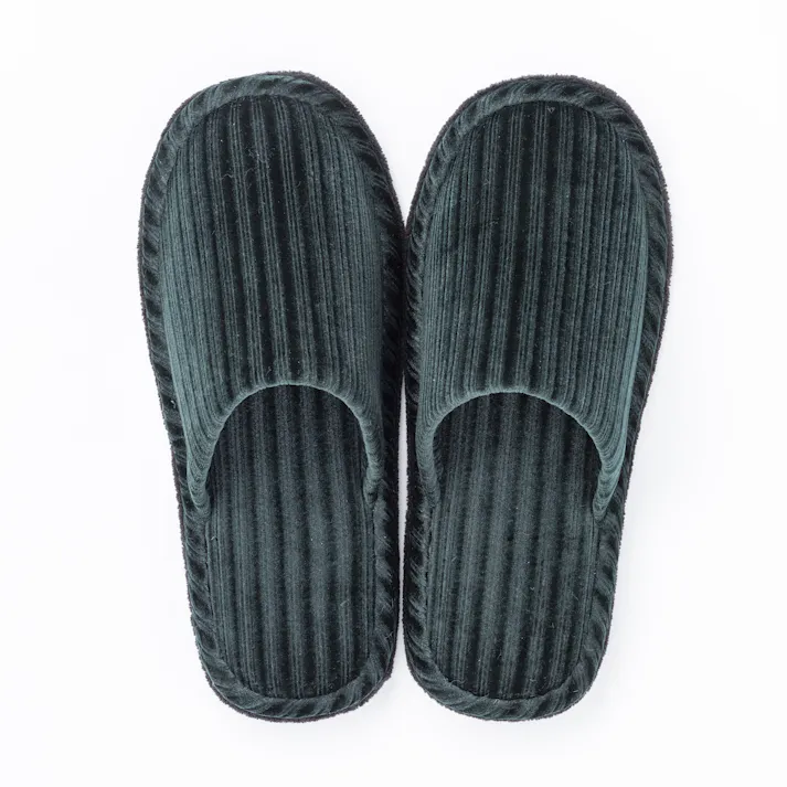 履いて歩くだけで掃除もできる スリッパ ライングリーン L(販売終了)