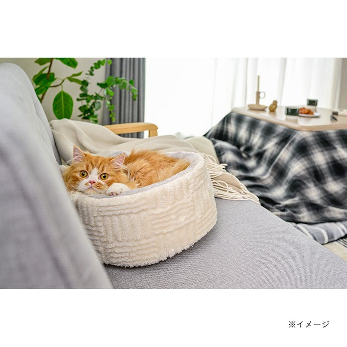 【2023秋冬】猫丸型ベッド ジャガード ホワイト(販売終了)