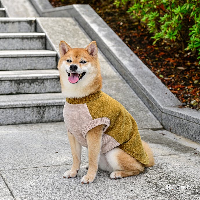 【送料無料】反射モールニット ブライトゴールド Sサイズ ペット服(犬の服)