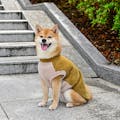 【送料無料】反射モールニット ブライトゴールド Lサイズ ペット服(犬の服)
