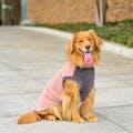 【送料無料】反射モールニット サンドピンク Lサイズ ペット服(犬の服)