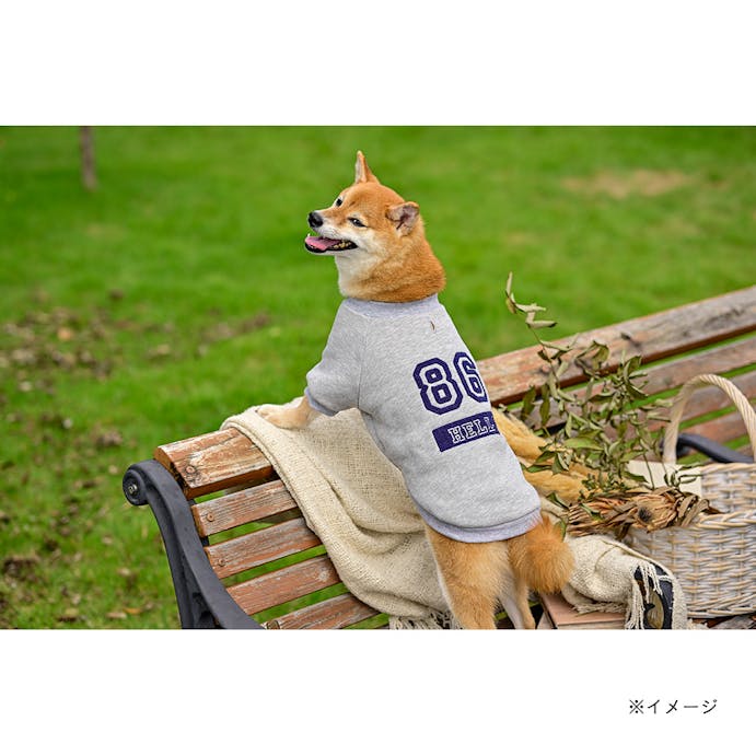 ナンバートレーナー グレー SDサイズ ペット服(犬の服)(販売終了)