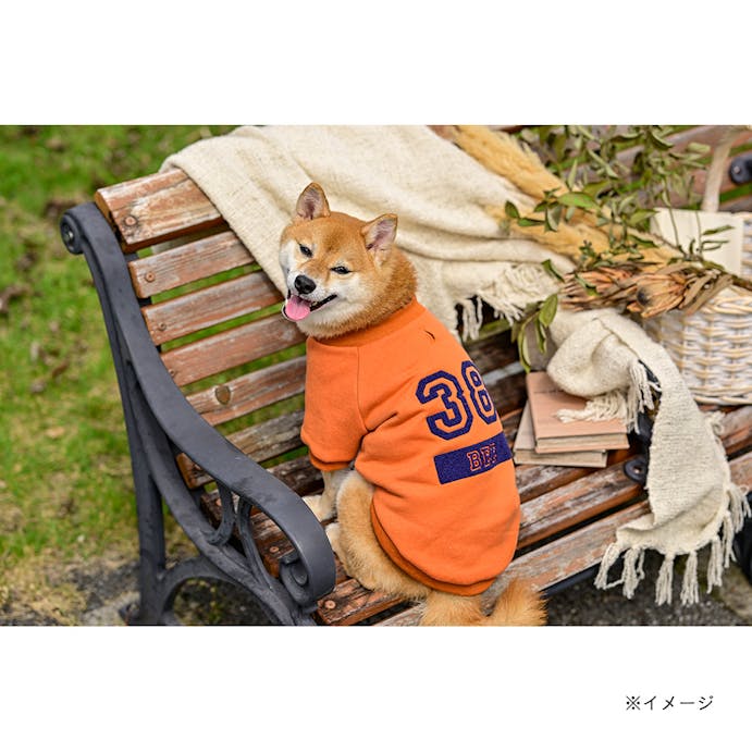 【送料無料】ナンバートレーナー オレンジ SSサイズ ペット服(犬の服)(販売終了)
