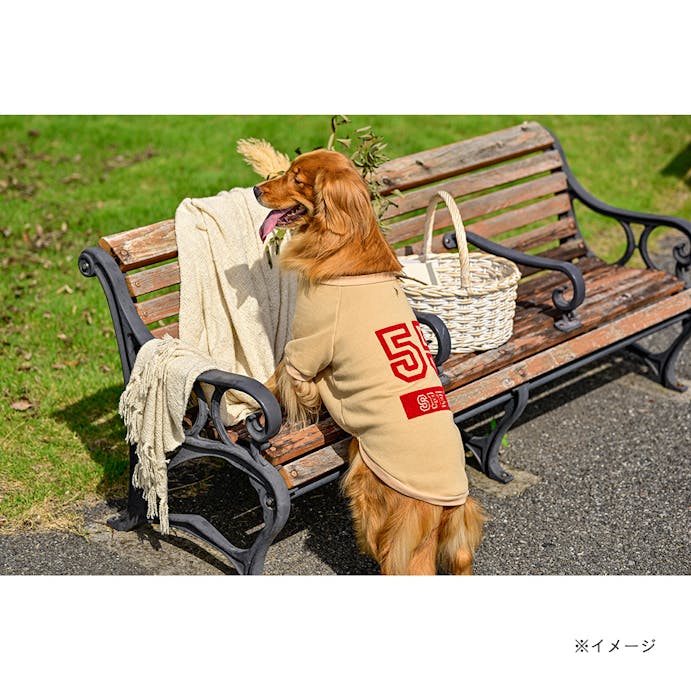 【送料無料】ナンバートレーナー ベージュ SDサイズ ペット服(犬の服)(販売終了)