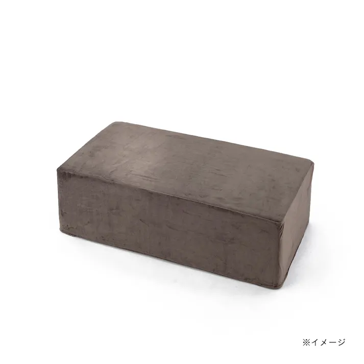 ブロックソファカバー&Pet モカ 幅120cm 奥行60cm 高さ36cm 制菌防臭加工 爪の引っかきに強い ソファーカバー (カバーのみ)【別送品】