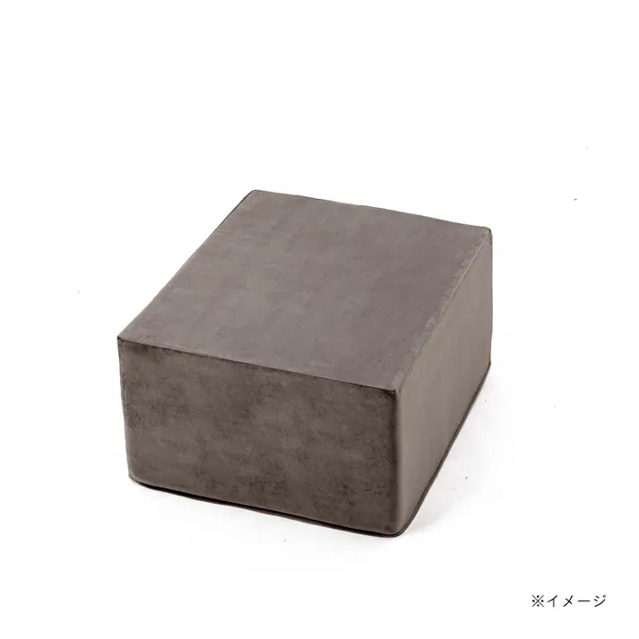 ブロックソファカバー&Pet モカ 幅60cm 奥行60cm 高さ36cm 制菌防臭加工 爪の引っかきに強い ソファーカバー (カバーのみ)【別送品】