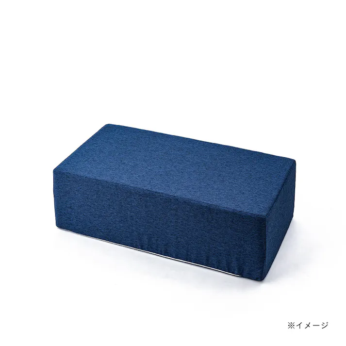 ブロックソファカバー&Pet ネイビー 幅60cm 奥行120cm 高さ36cm 制菌防臭加工 爪の引っかきに強い ソファーカバー (カバーのみ)【別送品】