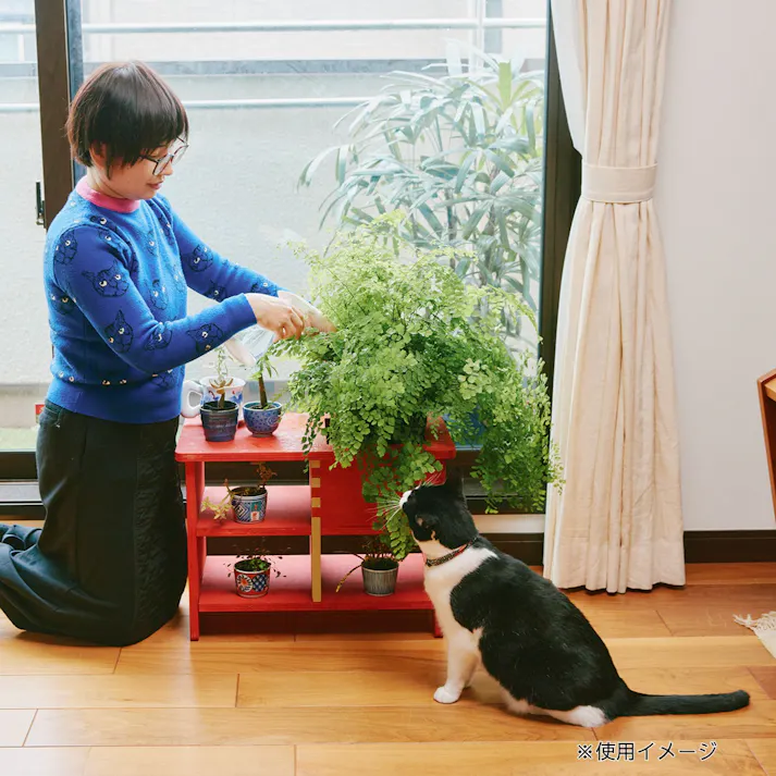 【CDM】プランターが置けるベンチ S【別送品】