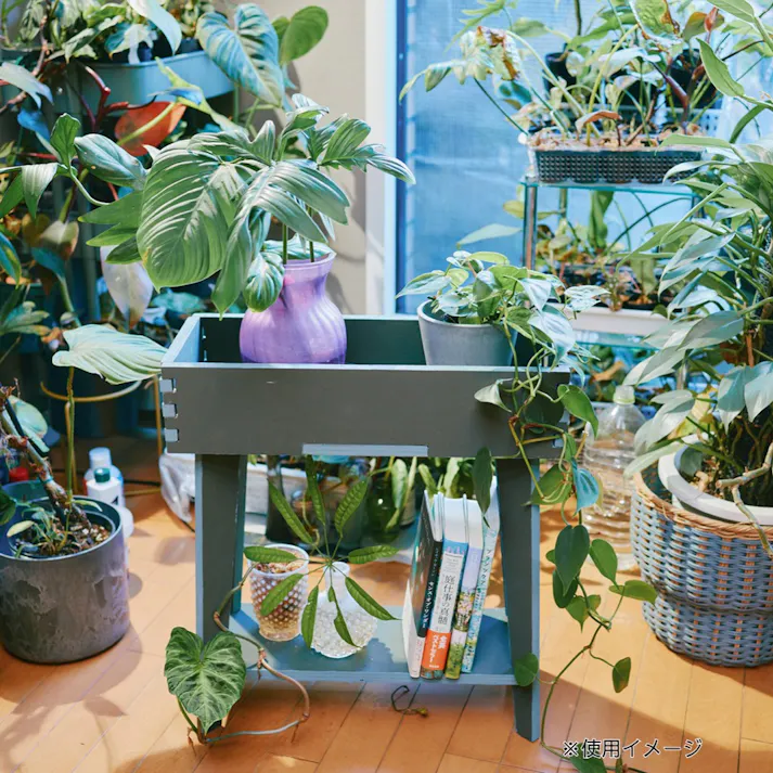 【CDM】プランタースタンド【別送品】