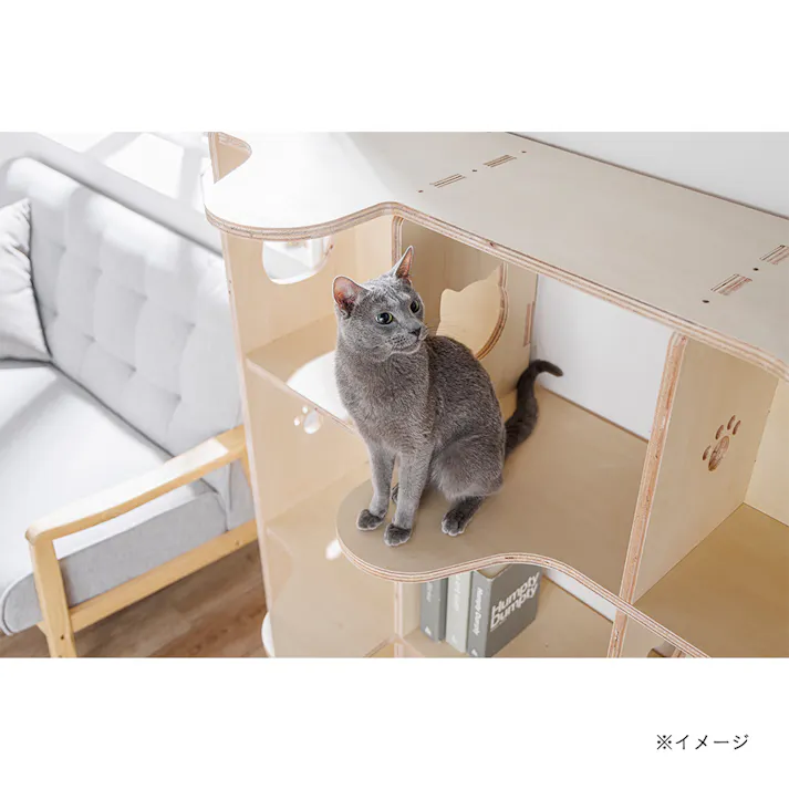 【CDM】ねこのアパートシェルフ M(シナ)【別送品】