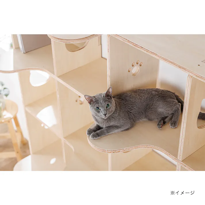 【CDM】ねこのアパートシェルフ L(シナ)【別送品】