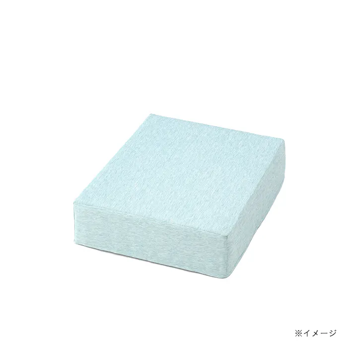 ブロックソファカバー&Pet ミントグリーン 幅60cm 奥行60cm 高さ18cm 制菌防臭加工 爪の引っかきに強い ソファーカバー (カバーのみ)