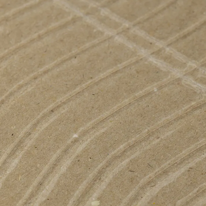 カインズ 粘着ネズミとりシート 5枚入