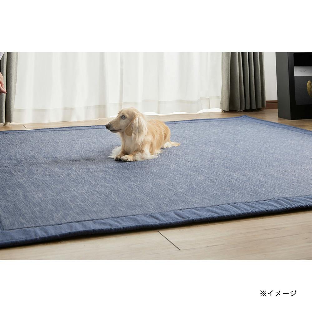 ご依頼品 ラグーナ・ブルーのベッド ＆Pet ウルトラデオクールラグ fwaat ネイビー 185×185cm(販売