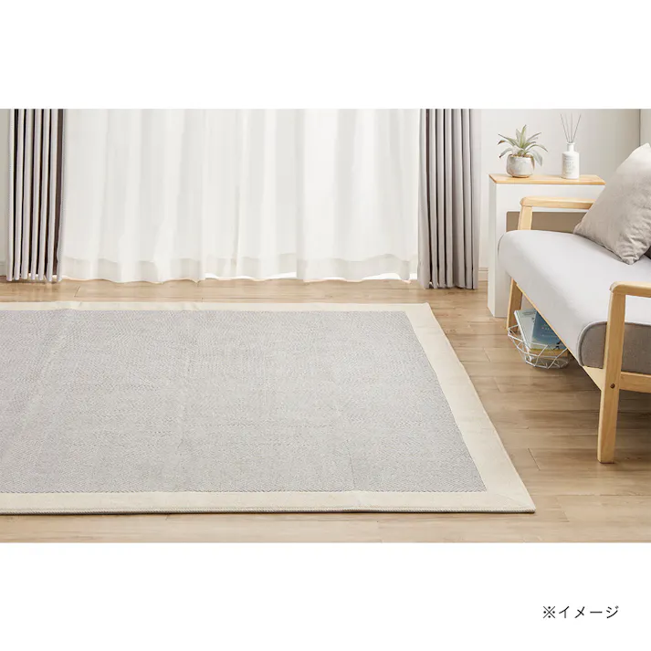 &Pet 洗えるラグ Pitapa ベントス 185×185cm