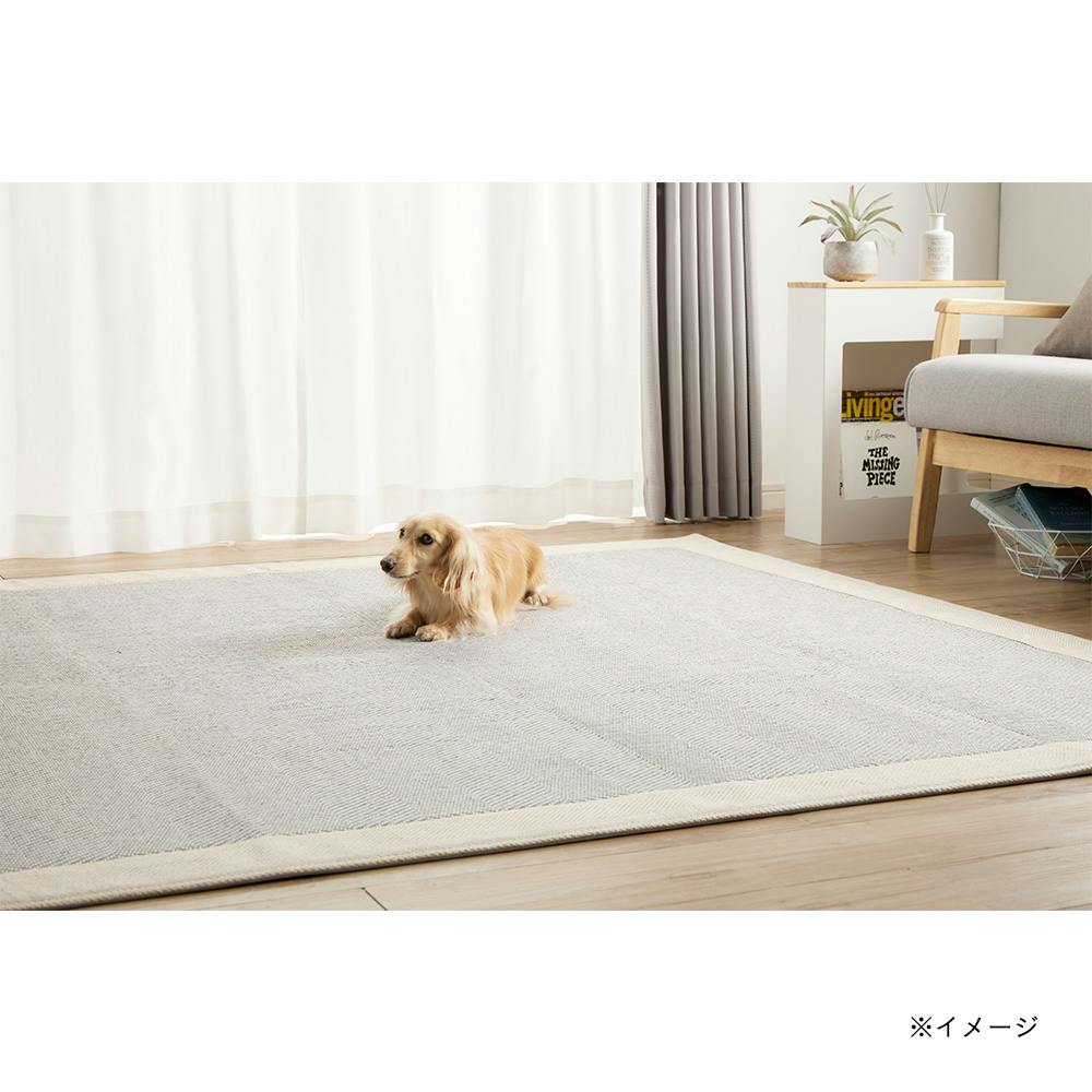 ＆Pet 洗えるラグ Pitapa ベントス 185×185cm | ラグ