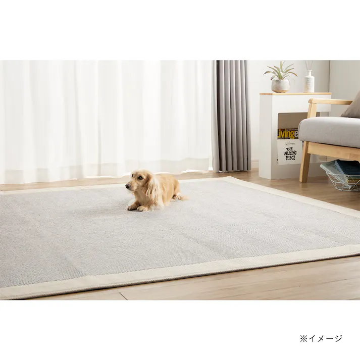 &Pet 洗えるラグ Pitapa ベントス 185×185cm