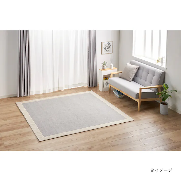 &Pet 洗えるラグ Pitapa ベントス 185×185cm