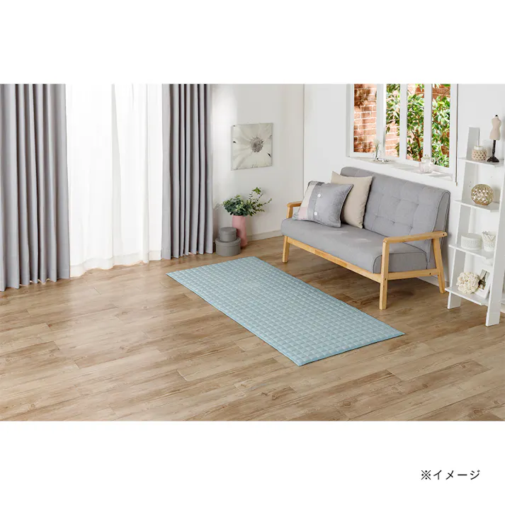 &Pet UDCラグ Pitapa ミントグリーン 80×180cm