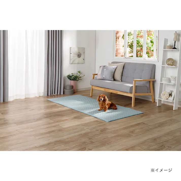 &Pet UDCラグ Pitapa ミントグリーン 80×180cm