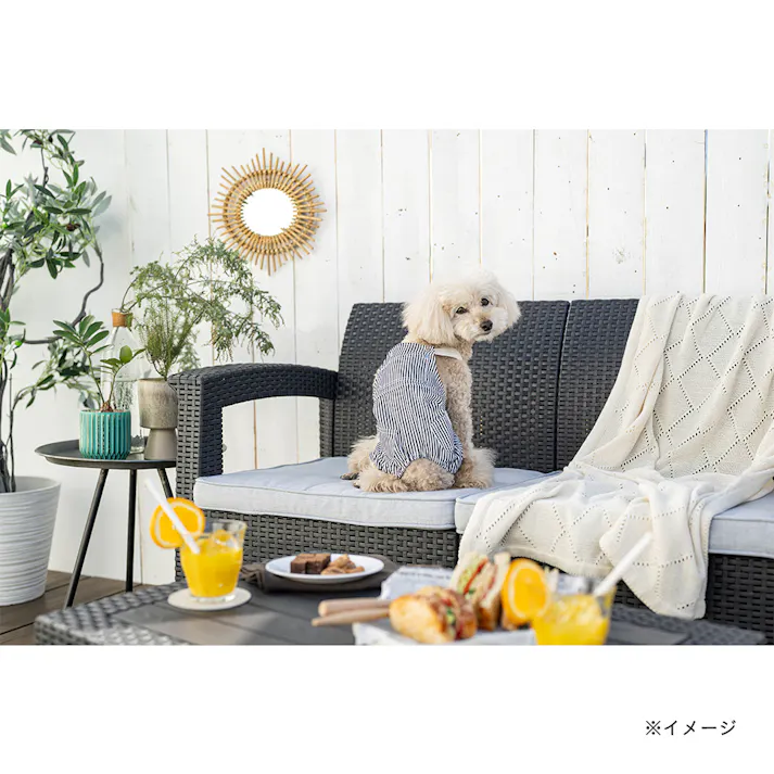 【送料無料】ヒッコリーオーバーオール Lサイズ ペット服(犬の服)(販売終了)