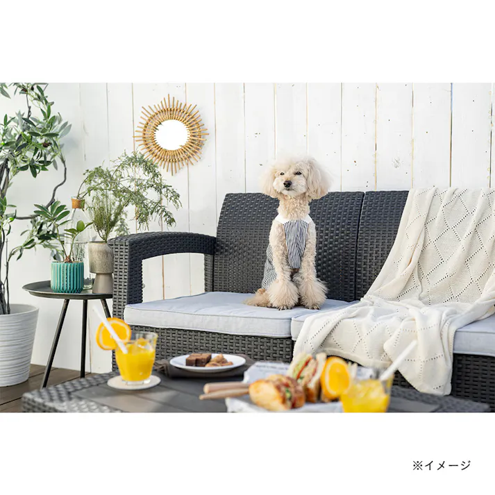 【送料無料】ヒッコリーオーバーオール Lサイズ ペット服(犬の服)(販売終了)