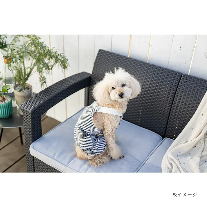 【送料無料】ヒッコリーオーバーオール Lサイズ ペット服(犬の服)(販売終了)