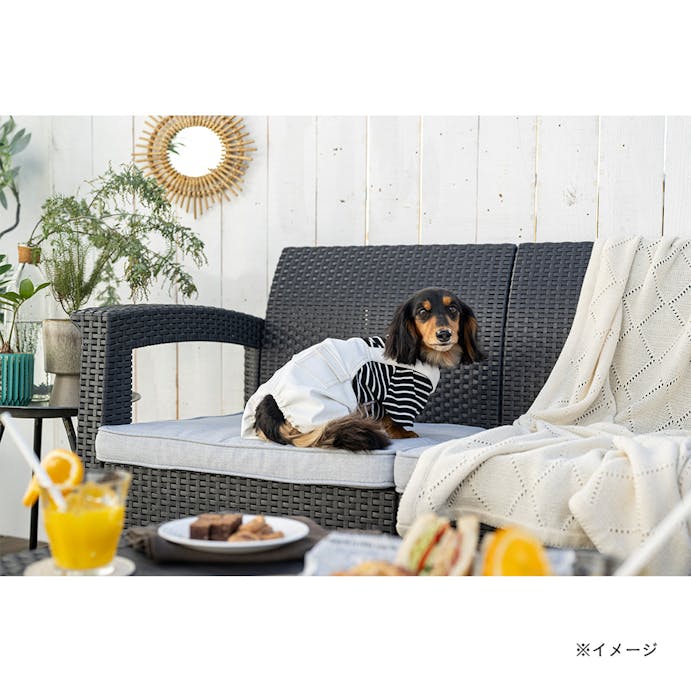 【送料無料】ドッキングオーバーオール ホワイト SSサイズ ペット服(犬の服)