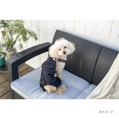 【送料無料】デニムオーバーオール SDサイズ ペット服(犬の服)