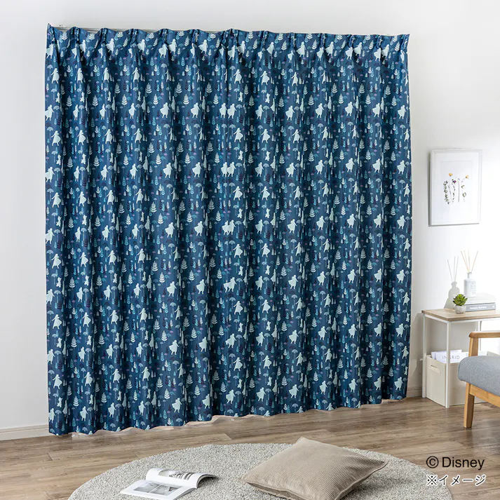 ディズニー カーテン アナ&エルサ 100×135cm 2枚組 洗濯OK 遮光率 99.81%【別送品】