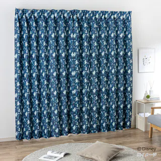 ディズニー カーテン アナ&エルサ 100×200cm 2枚組 洗濯OK 遮光率 99.81%【別送品】